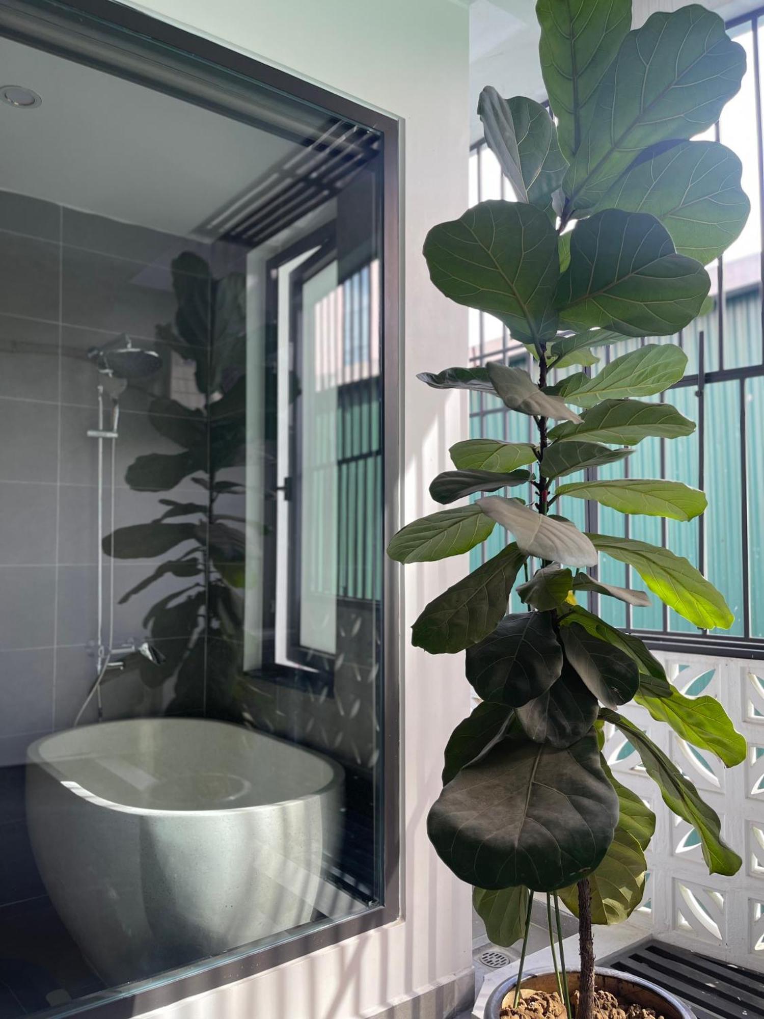 Alala Homestay- Tuyen Quang City Center- Trung Tam Thanh Pho Tuyen Quang 外观 照片